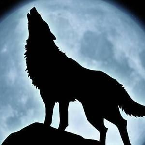 Meet your Posher, Dragan